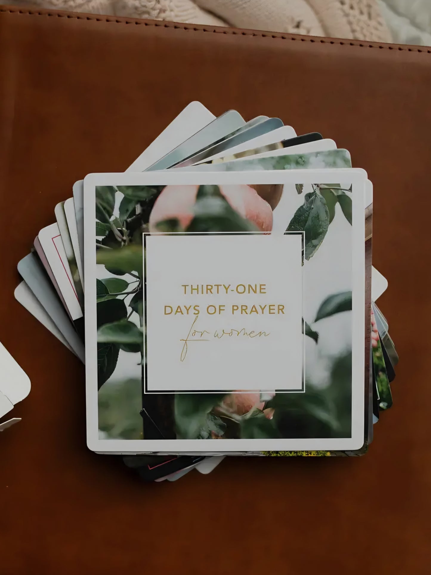 31 Days of Prayer for Women Verse Card Set